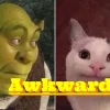 Những Khoảnh Khắc "Awkward Meme": Khi Sự Ngượng Ngùng Trở Thành Niềm Vui