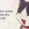 Những Khoảnh Khắc Meme Mèo Ngầu Lòi Khiến Bạn Cười Ra Nước Mắt
