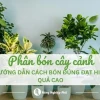 Phân bón cây cảnh: Bí quyết chăm sóc và lựa chọn tốt nhất 2026