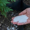 Phân Lân: Vai Trò, Phân Loại và Cách Sử Dụng Hiệu Quả Nhất