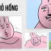 Thỏ Hồng Meme: Biểu Cảm Dễ Thương và Những Câu Chuyện Hài Hước