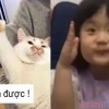 Tổng hợp meme giơ tay và những biểu cảm hài hước khó đỡ