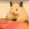 Tuyển tập hình vẽ cute đáng yêu cho con gái 2026
