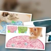 Best interactive cat toys that stimulate hunting instincts in 2026