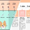 Hướng dẫn chi tiết lịch tiêm phòng cho chó con chuẩn y khoa năm 2026