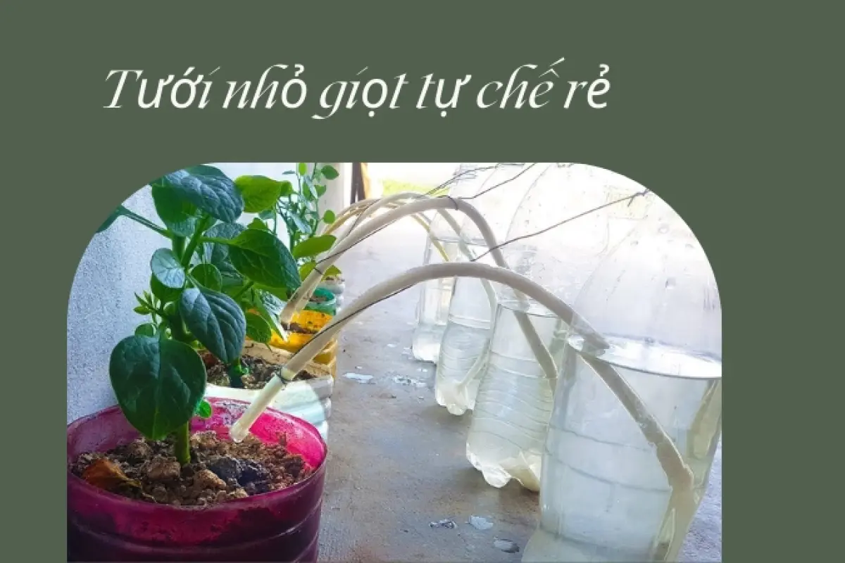 Cách làm hệ thống tưới nhỏ giọt tự chế tiết kiệm 90% nước tưới