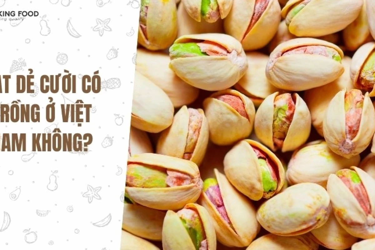 Cây hạt dẻ cười có trồng ở Việt Nam không?