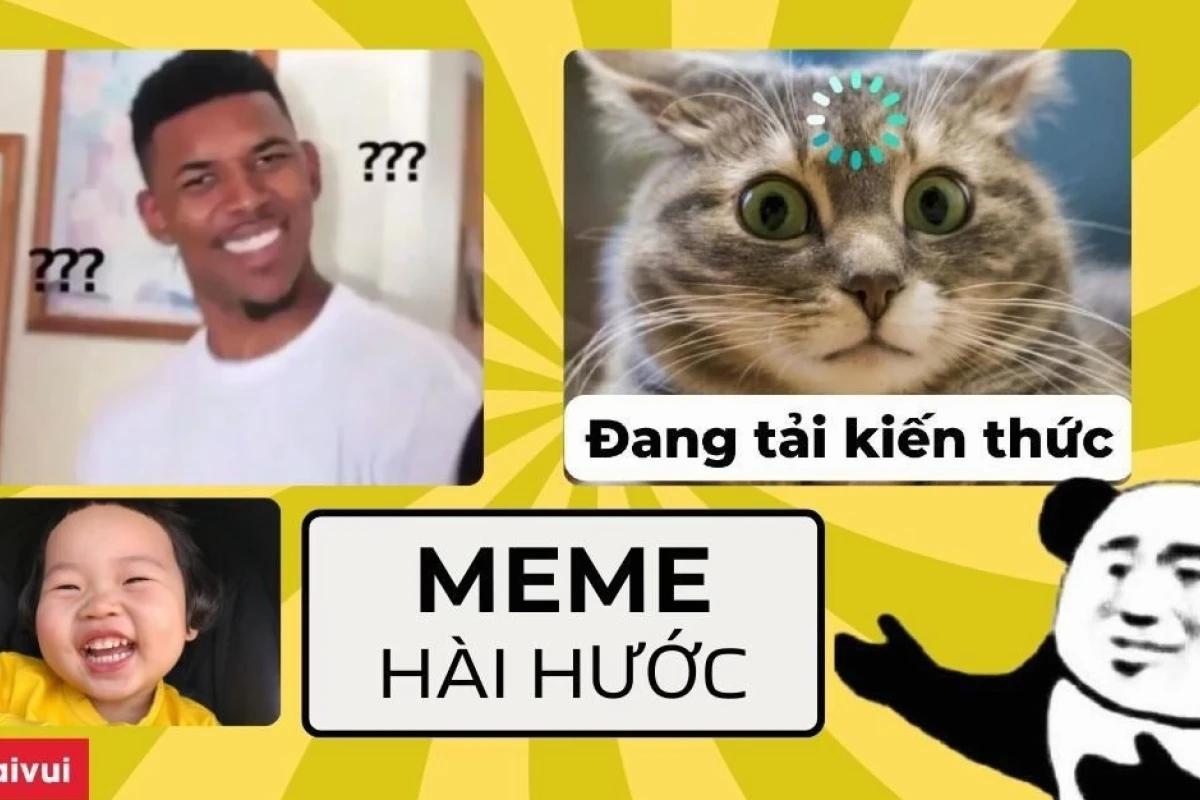 Khám Phá 750+ Avatar Meme Mèo Bựa Hài Hước Nhất 2026