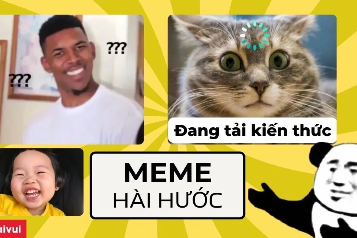 Khám phá 750+ Avatar Meme Mèo Bựa Hài Hước Nhất 2026