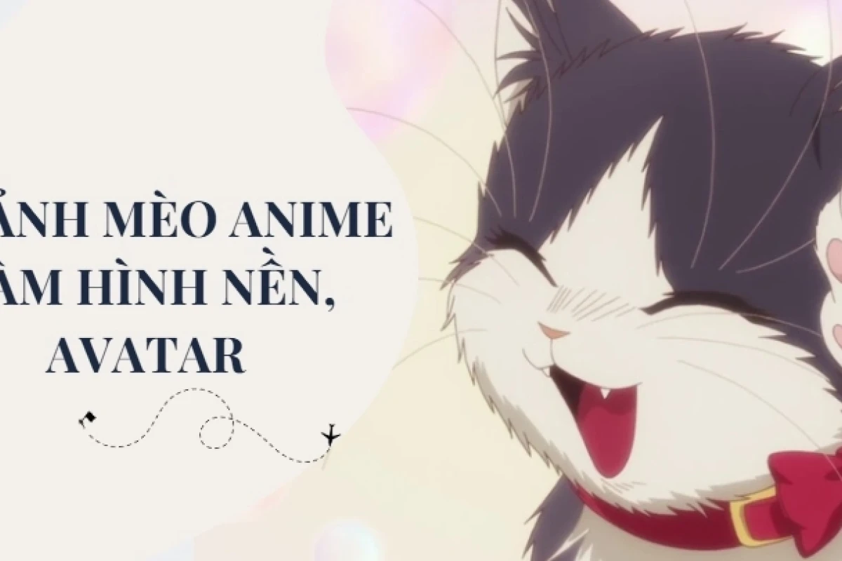 Những Khoảnh Khắc Meme Mèo Ngầu Lòi Khiến Bạn Cười Ra Nước Mắt