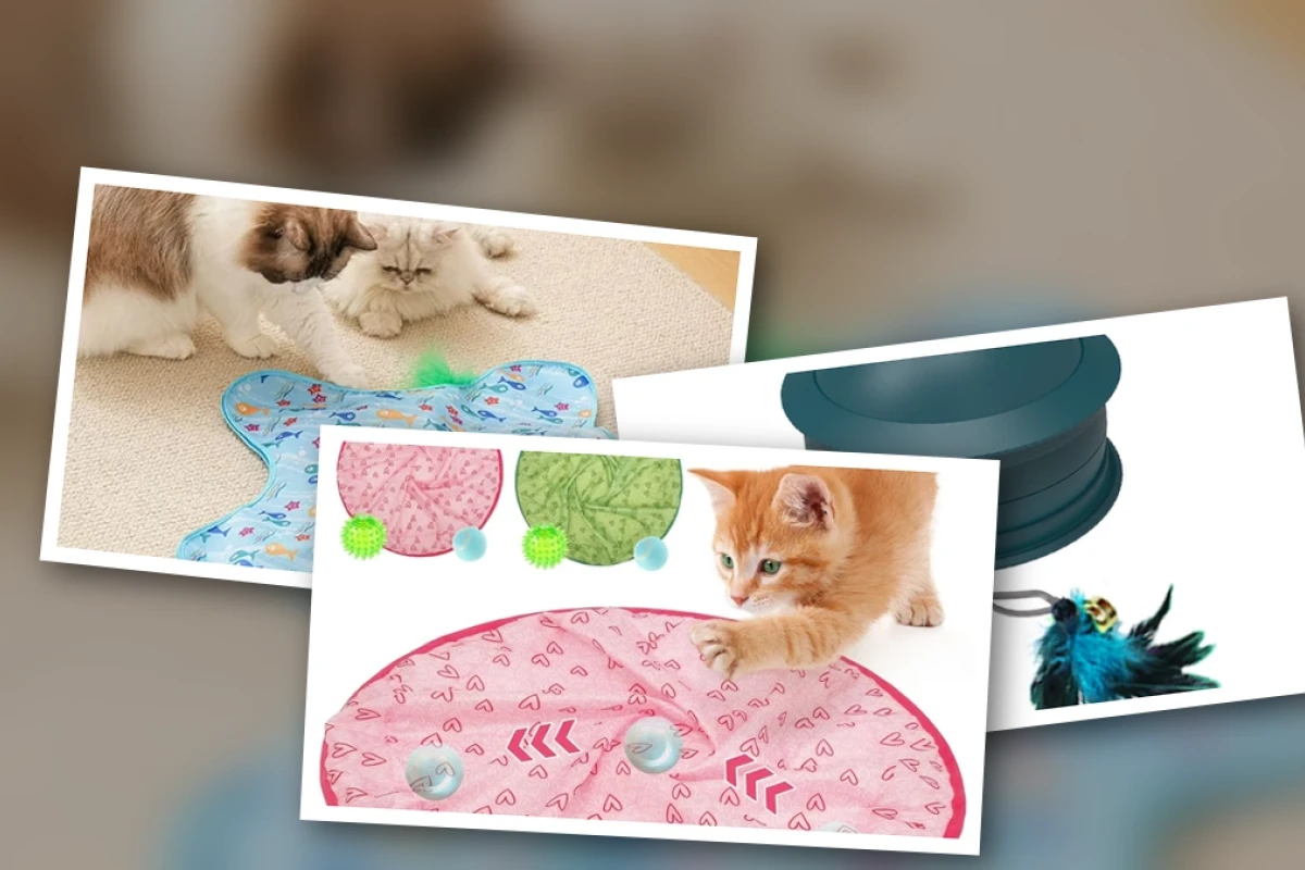 Best interactive cat toys that stimulate hunting instincts in 2026