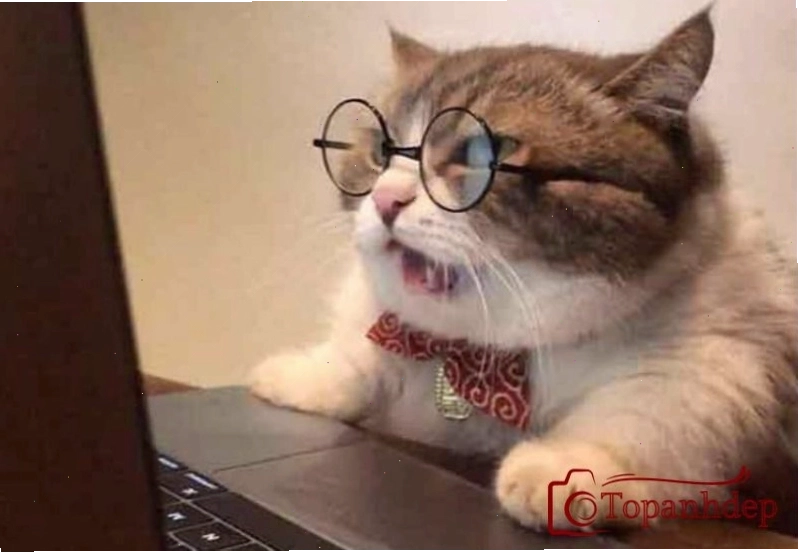 Ảnh hài hước cute về em bé