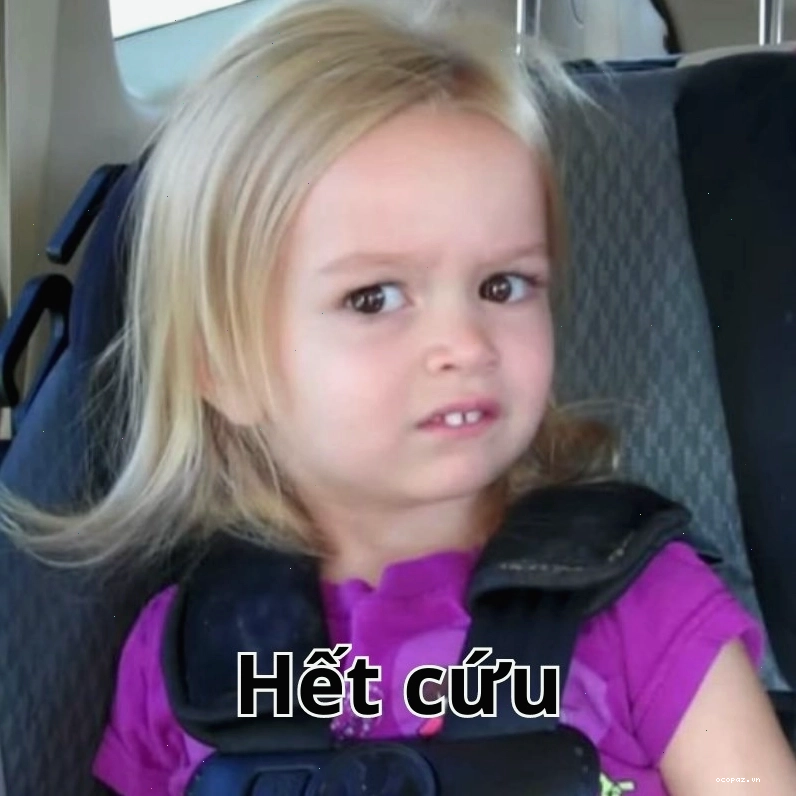 Ảnh hết cứu meme vui nhộn