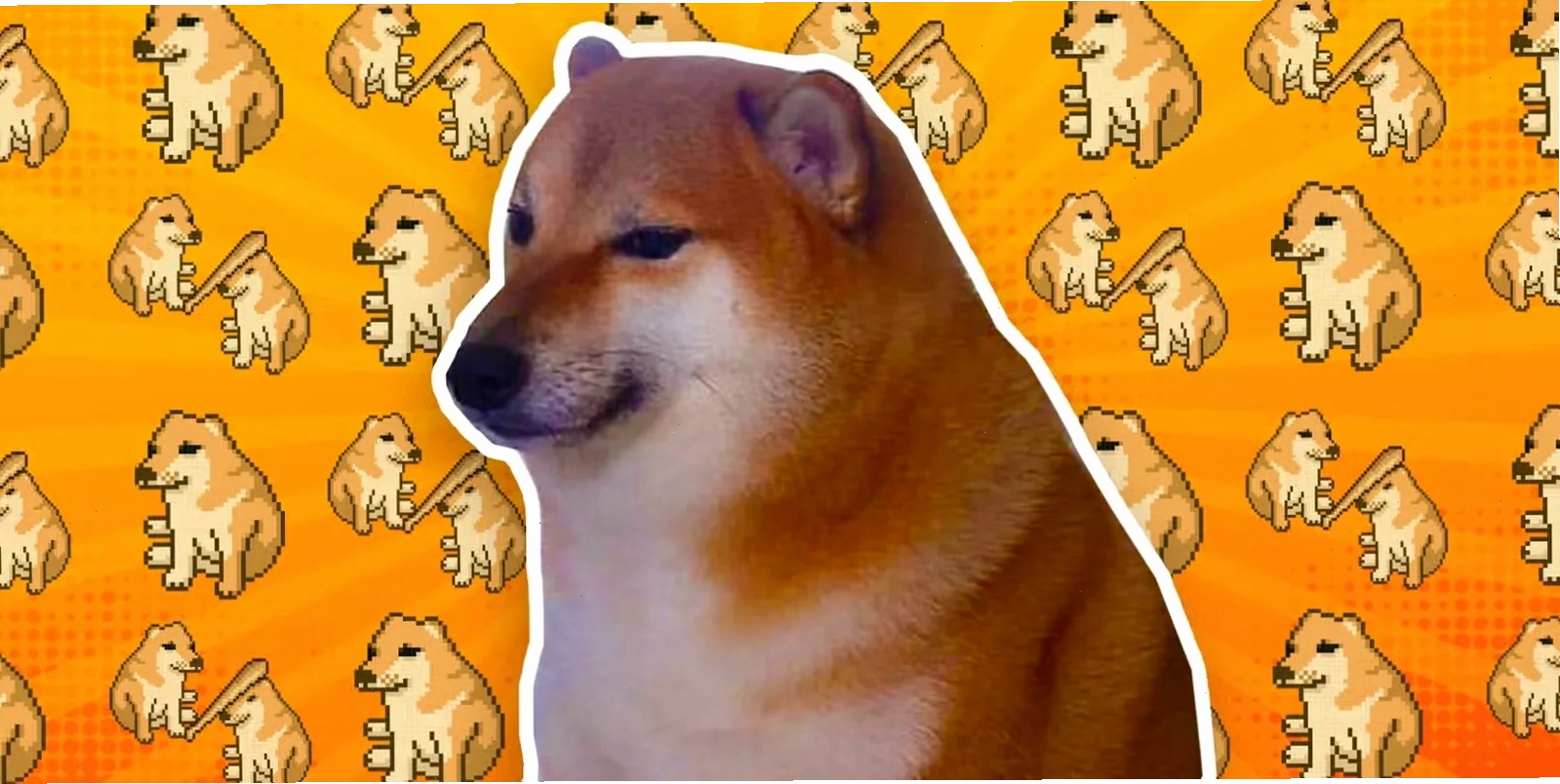 Ảnh meme Cheems với biểu cảm ngộ nghĩnh