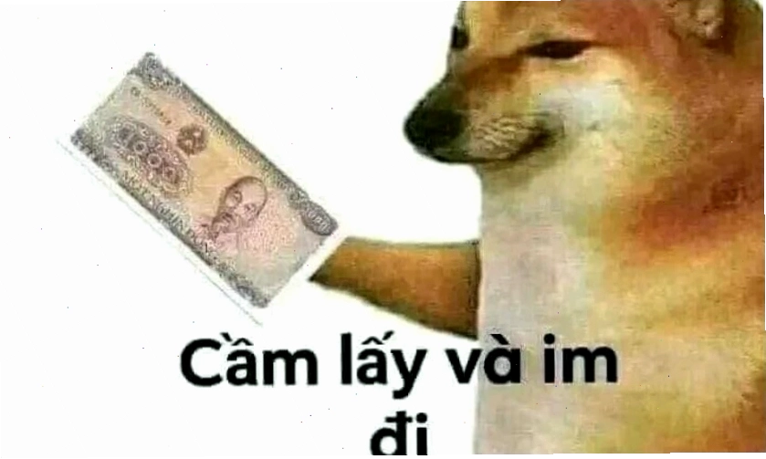 Ảnh meme chó với biểu cảm hài hước