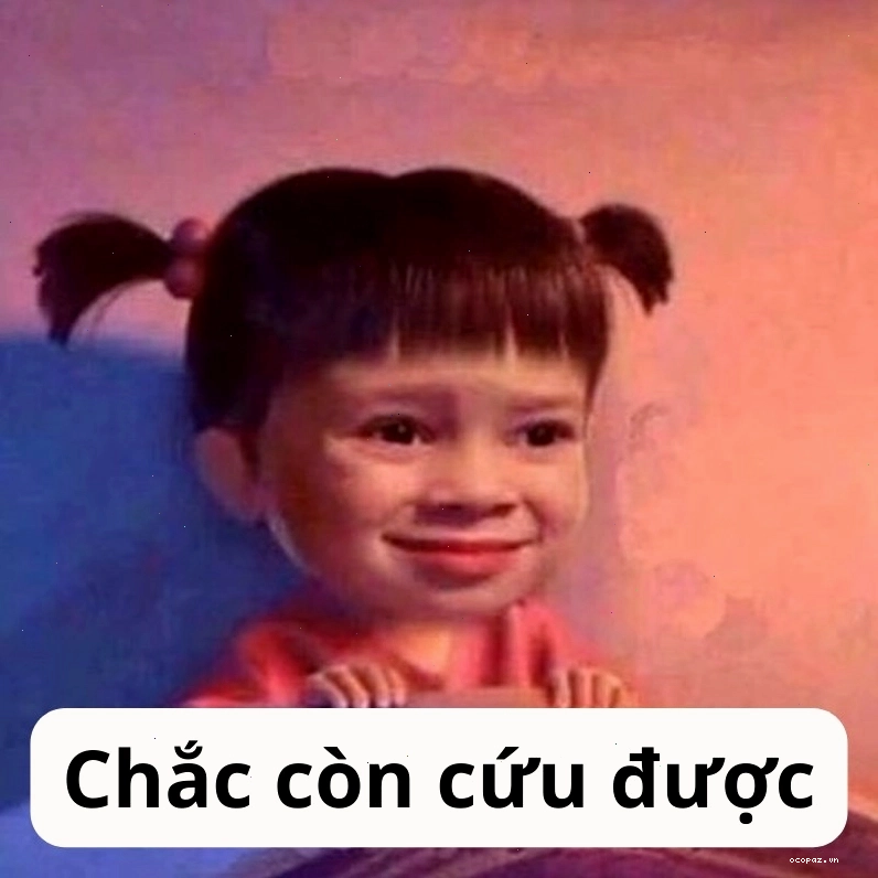 Ảnh meme còn cứu được