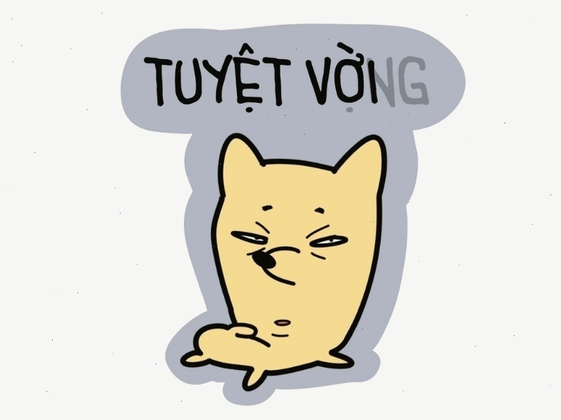 Ảnh meme hài hước với dòng chữ "Tuyệt vời và tuyệt vọng"