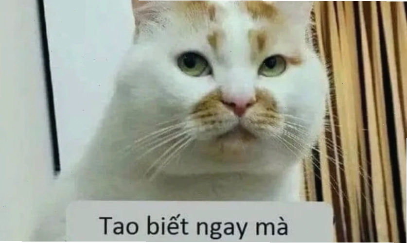 Ảnh meme hài hước với thông điệp ý nghĩa ẩn dụ