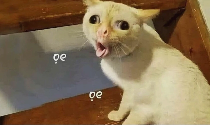 Ảnh meme minh họa tình huống hài hước trong cuộc sống
