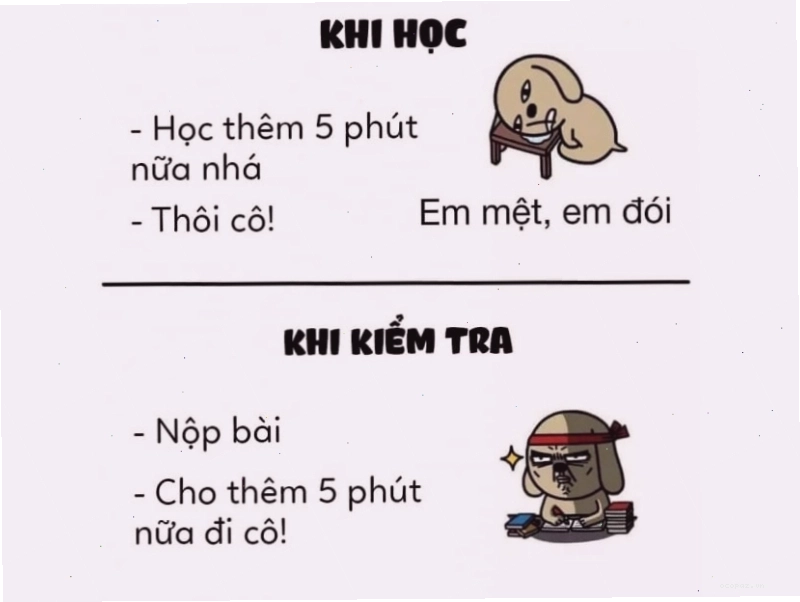 Ảnh meme so sánh thời gian học và kiểm tra
