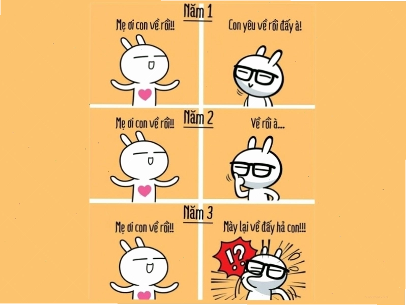Ảnh meme về thái độ phụ huynh với con cái qua các năm đại học