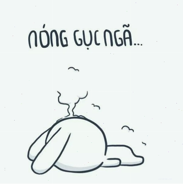 Ảnh thỏ bảy màu meme thể hiện sự tinh nghịch
