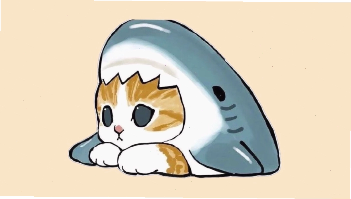 Avatar mèo anime biểu cảm ngạc nhiên