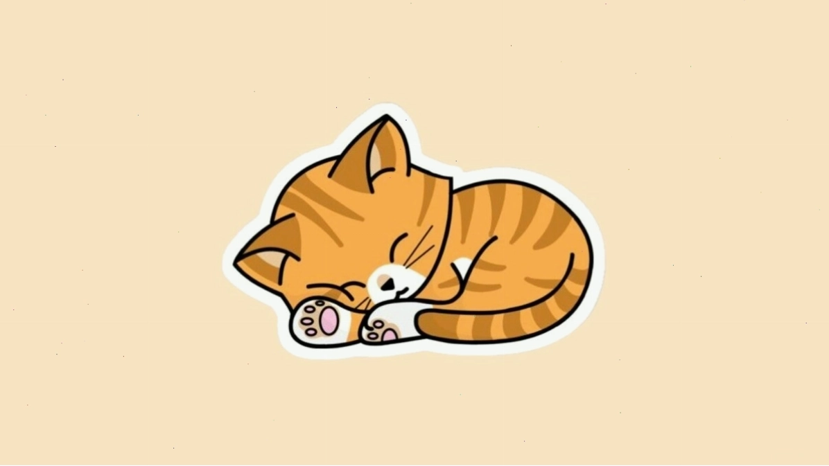 Avatar mèo chibi với đôi mắt lấp lánh