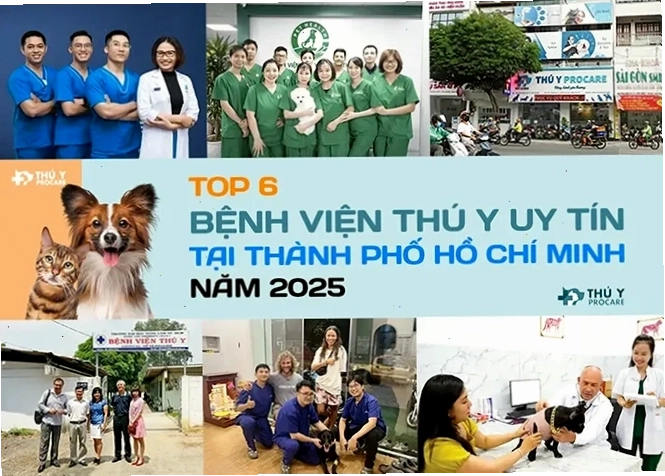 Bác sĩ đang sử dụng máy siêu âm để chẩn đoán cho thú cưng