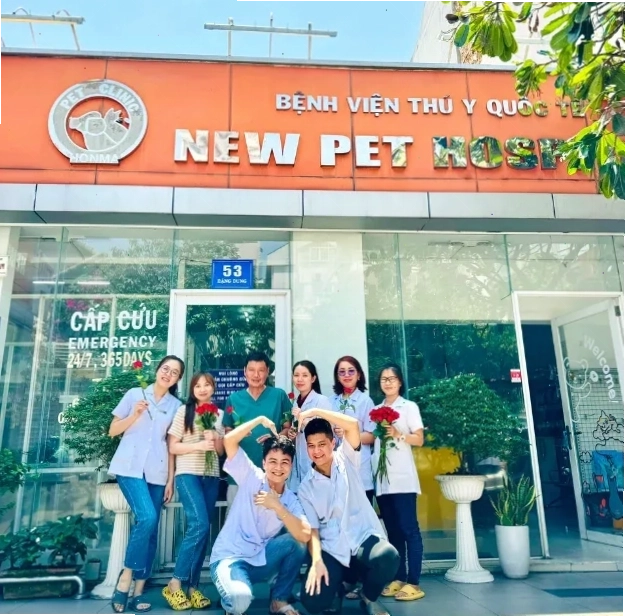 Bác sĩ thú y đang khám bệnh cho một chú chó