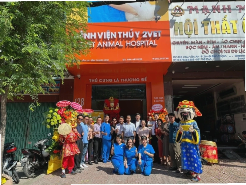 Bác sĩ thú y đang thăm khám cho một chú chó tại phòng khám