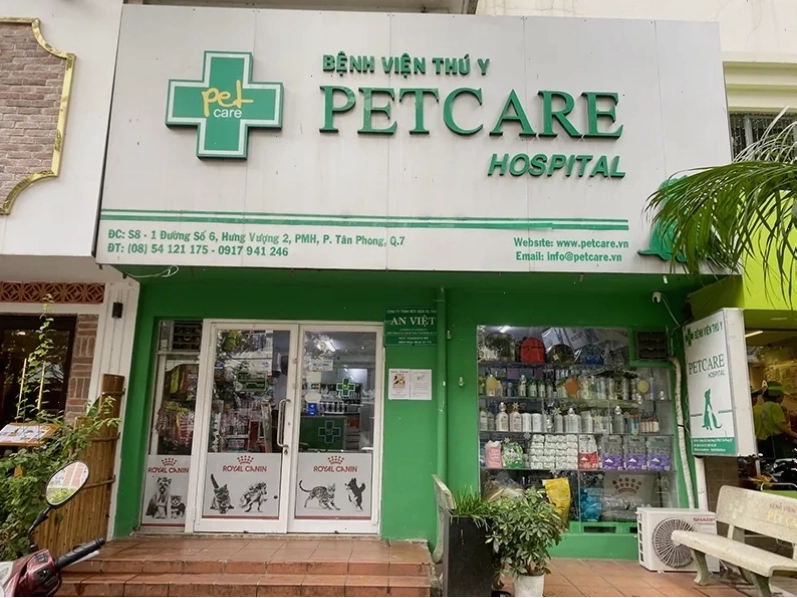 Bác sĩ thú y thực hiện siêu âm tim cho thú cưng