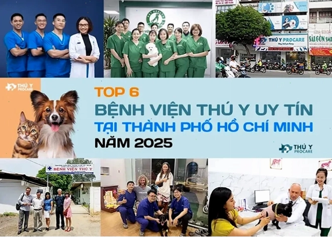 Bảng giá dịch vụ tại bệnh viện thú y