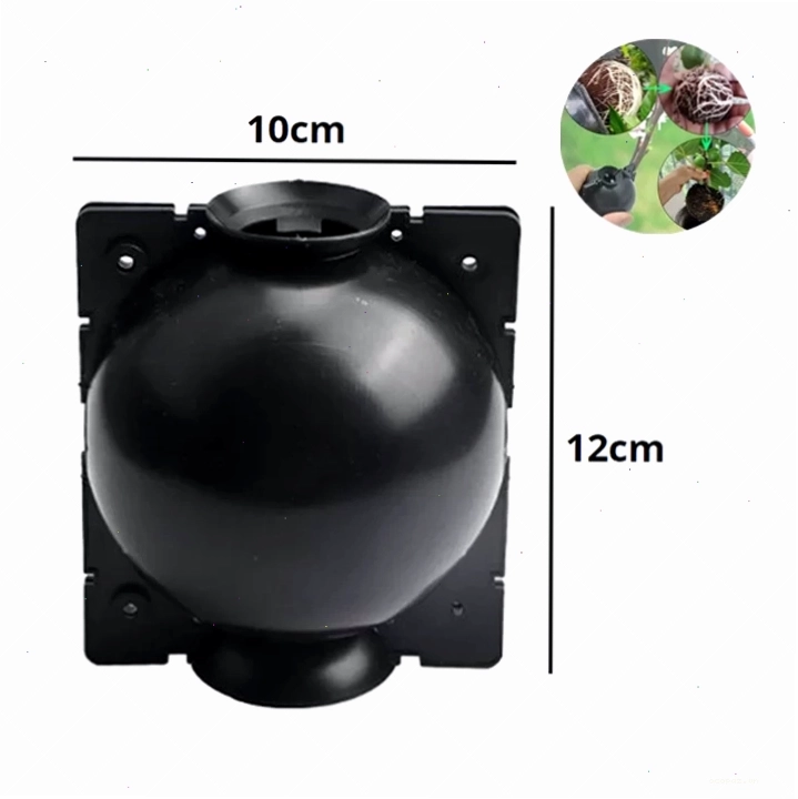 Bầu nhựa chiết cành kích thước 10cm