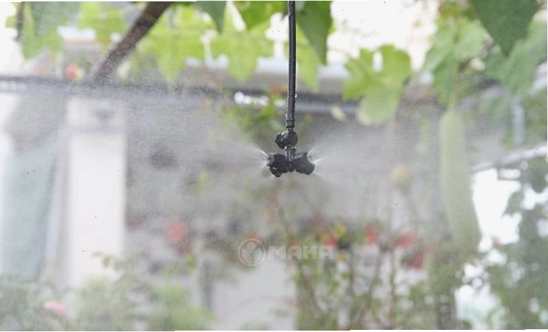 Béc tưới phun sương trong vườn