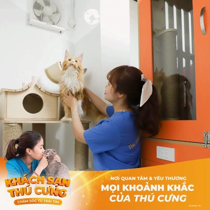 Bệnh viện thú y 2Vet Hà Đông với đội ngũ bác sĩ chuyên nghiệp