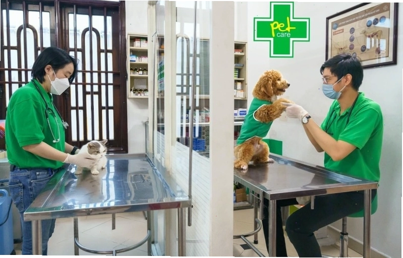 Bệnh viện thú y Petcare với trang thiết bị hiện đại