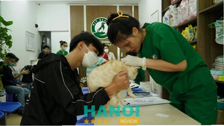 Bệnh viện thú y PetHealth ở Hà Nội
