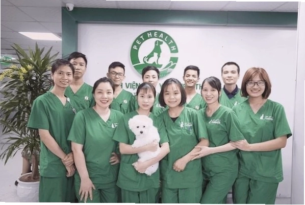 Bệnh viện thú y Pethealth với cơ sở vật chất hiện đại