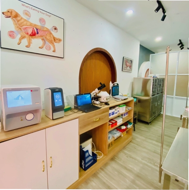 Bệnh viện thú y Quận 11 có không gian sạch sẽ, thiết bị hiện đại