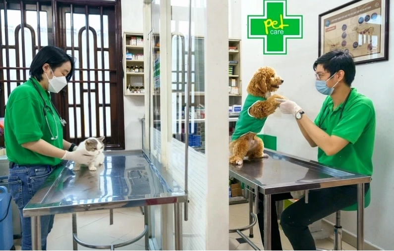 Bệnh viện thú y TPHCM với trang thiết bị hiện đại