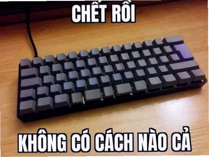 Biểu cảm bất lực với meme chết rồi không có cách nào cả