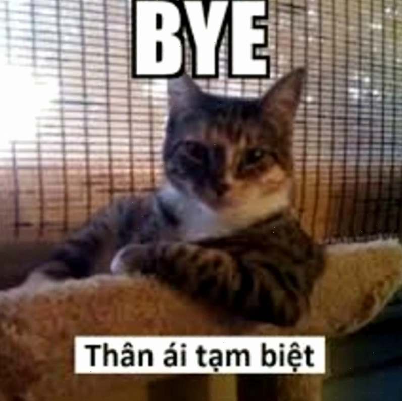 Biểu cảm chia tay đầy hài hước trong meme