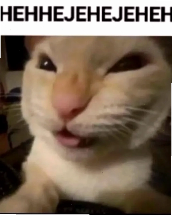 Biểu cảm hihi dễ thương