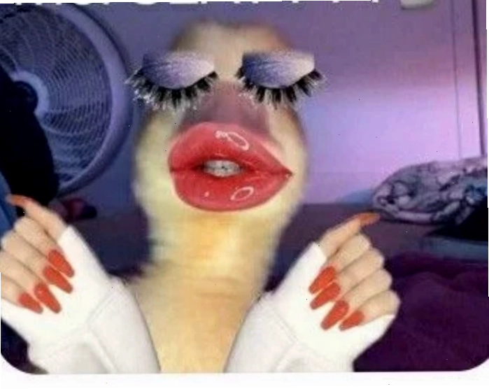 Biểu cảm meme nhăn mặt thể hiện sự khó chịu