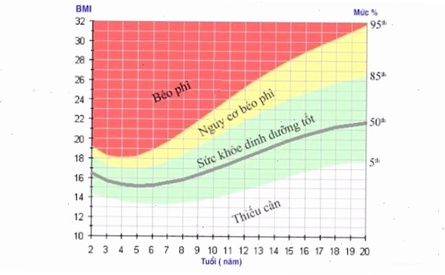 Biểu đồ chỉ số BMI đánh giá trẻ bị suy dinh dưỡng hay thừa cân, béo phì