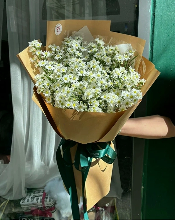 Bó hoa cúc thạch thảo trắng thanh tú, phù hợp trang trí nhiều không gian