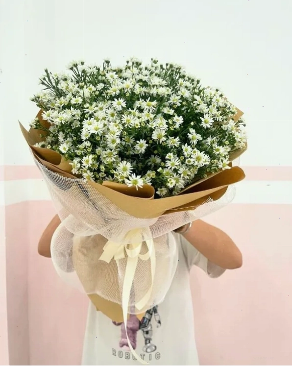 Bó hoa cúc thạch thảo trắng tinh khôi mang vẻ đẹp thuần khiết