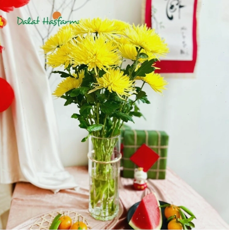 Bó hoa cúc vàng tươi thắm
