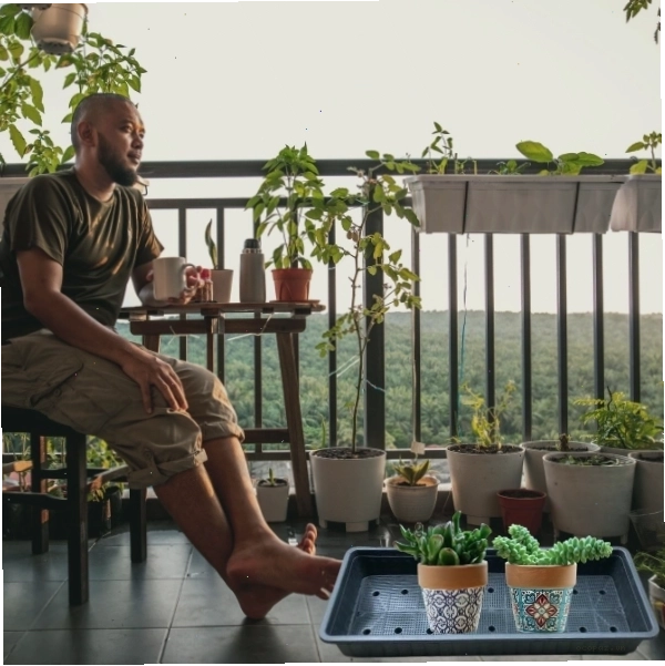 Bộ khay nhựa trồng rau thông minh có khay hứng nước
